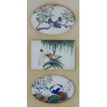 Three pith paper paintings of birds, contained within a single glazed frame, size overall 36 x 48cm