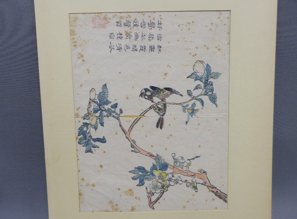 Chinese School, two floral study watercolours, late 18th / early 19th century, with calligraphy, - Image 3 of 5