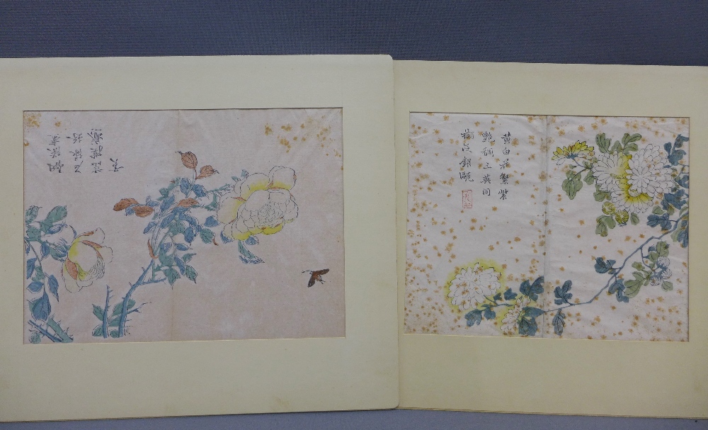 Chinese School, two floral study watercolours, late 18th / early 19th century, with calligraphy, - Image 4 of 5