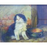 20th century school oil on board painting of a black and white cat, signed indistinctly , under