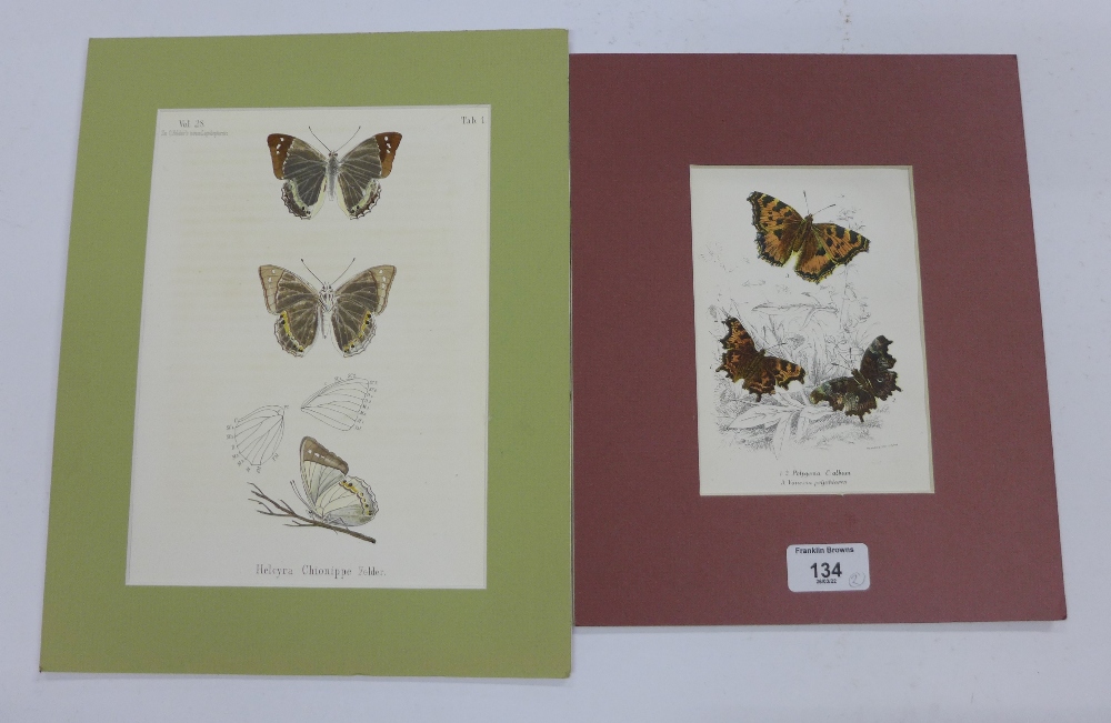 W. F Kirby, a 19th century coloured print of butterflies together with another, (2)