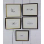 Ian Willis, a set of five bird prints to include Red Throated Diver & Birds of Gibraltar, Birds of