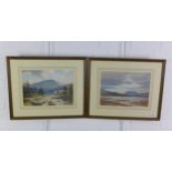 G. Trevor, a pair of watercolours in glazed frames, 35 x 25cm (2)