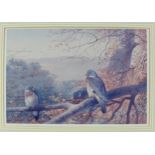 After Archibald Thorburn, a coloured print of birds, framed and signed in pencil, overall size 36