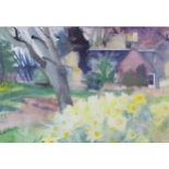 Alma Wolfson, 'Daffodils at Greenbank', watercolour, signed and dated '86, framed under glass with a