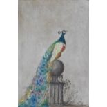 Christine Sprieter, 'Paul's Peacock' a coloured etching, signed and numbered 5/40, framed under