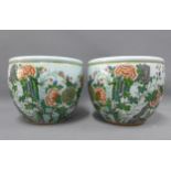 Pair of Chinese famille verte fish bowls, with flowers and fruit pattern, 32cm (2)