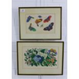 Butterflies and flowers, two Chinese paintings on pith paper, framed under glass, larger 40 x