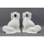 A pair of Staffordshire pottery chimney spaneils, 28cm (2)