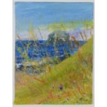 Elizabeth Strong, (Contemporary) Bass Rock from Canty Bay, oil and varnish on board, signed, in a