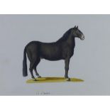 Franz Anton Von Scheidel (1731-1801) 'The Horse/Le Cheval', watercolour, inscribed bottom centre,