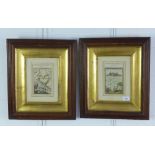 Two reproduction French maps, in glazed frames, sizes overall 38 x 44cm (2)