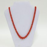 Strand of graduated coral beads, largest bead approx 1.5cm wide