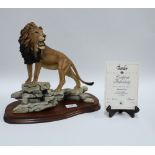 'African Lion' Border Fine Arts limited edition figure, No 494/750, on a plinth base complete with