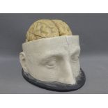 Denoyer-Geppert Co, Biology Models, Chicago, brain study, with detachable segments, 16cm high