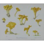 Elizabeth Cameron, 'Chanterelle' limited edition coloured print, signed in pencil and numbered