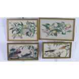 Four watercolours on rice paper to include two with fruit and two with birds, all framed under