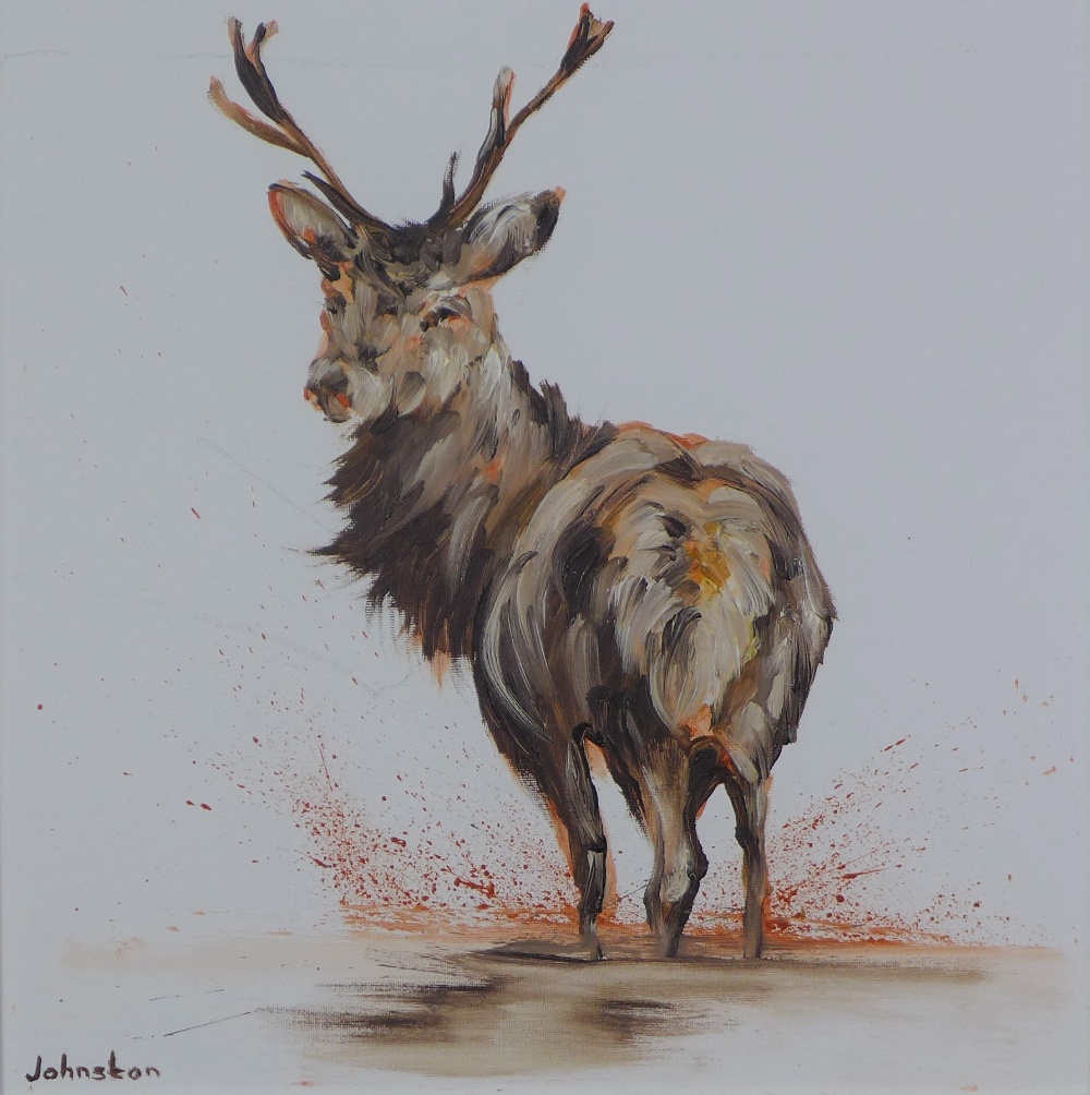 Elaine Johnston, Stag, oilon canvas, signed, framed, 39 x 39cm