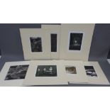 Eight various prints and woodblocks to include Tom McGuiness etc all in card mounts but unframed,