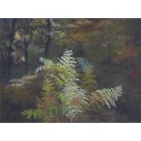 Averil Fuller (English) 'Autumn at Rosa Shaftoe Reserve', pastel, signed and framed under glass with