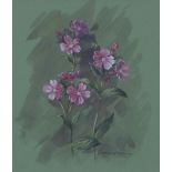 Margery Stephenson (1929 - 2018) 'Red Campion' watercolour, framed under glass within a gilt