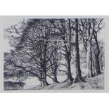 Pamela Grace, 'January Beeches', engraving, signed in pencil, titled and numbered 9/150, framed