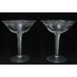 A pair of fruit and vine etched glasses with spiral twist stems (2) 18cm.