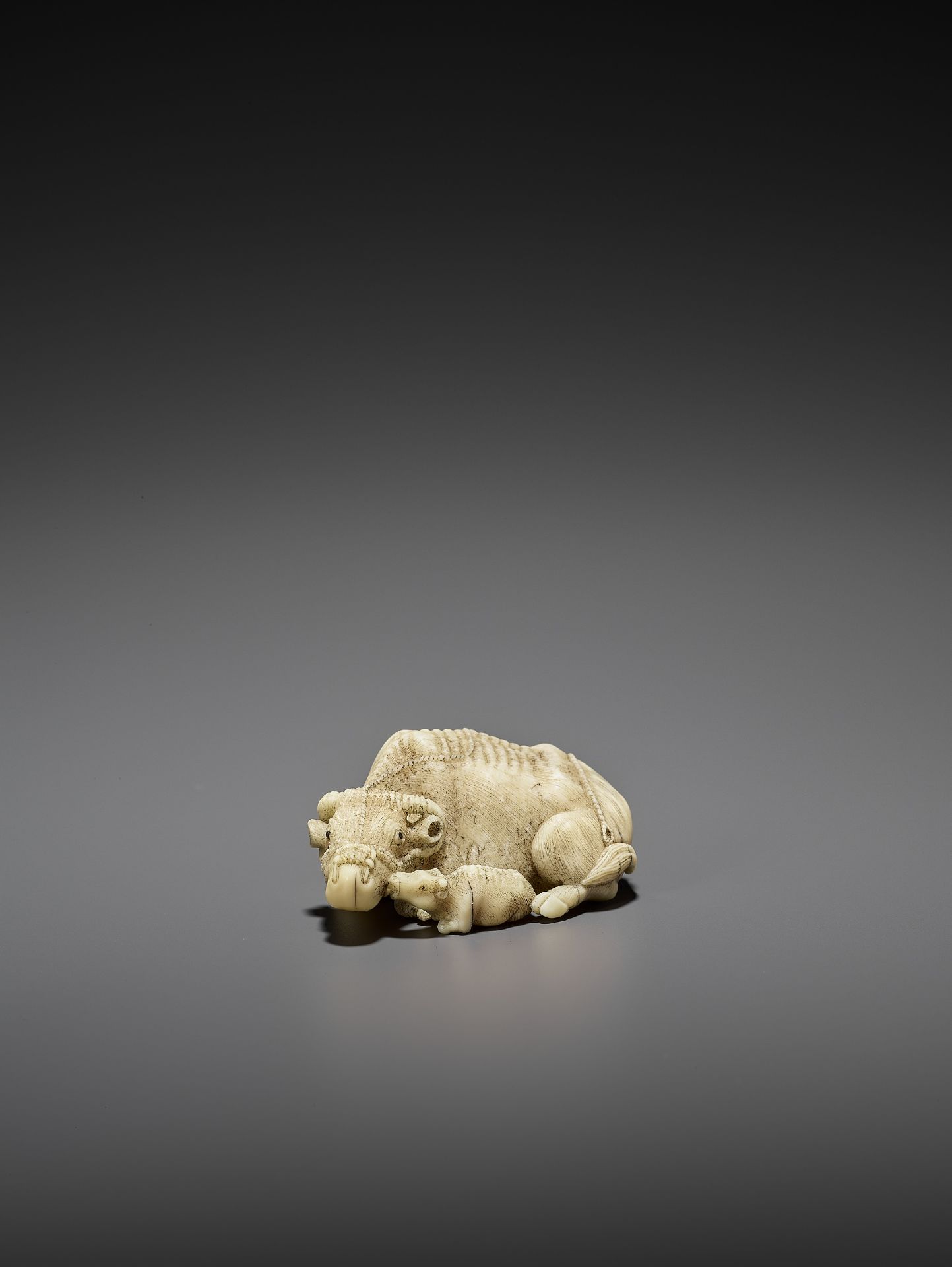 MITSUCHIKA: A LARGE AND RARE WALRUS IVORY NETSUKE OF A RECUMBENT COW WITH CALF - Bild 4 aus 13