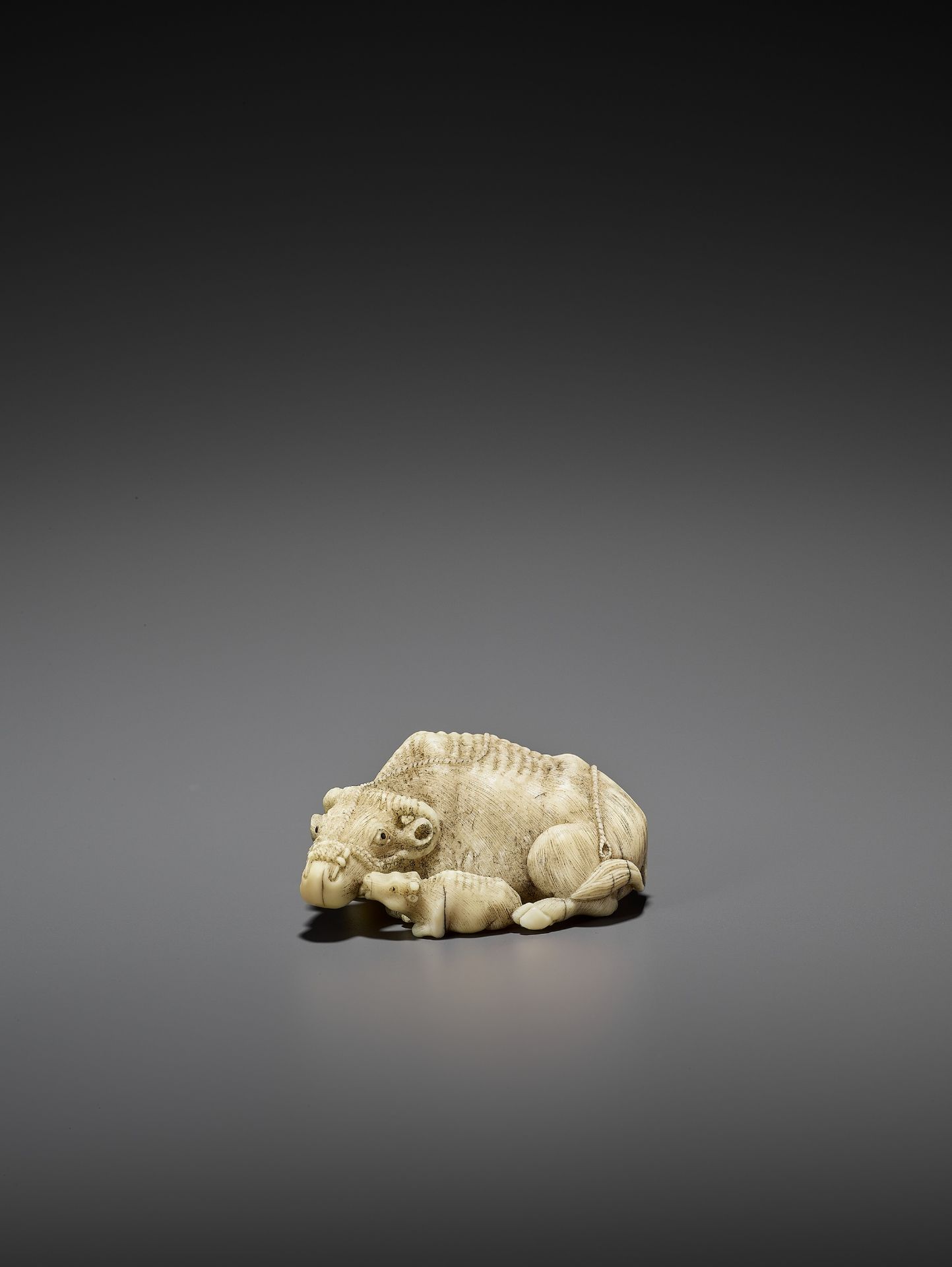 MITSUCHIKA: A LARGE AND RARE WALRUS IVORY NETSUKE OF A RECUMBENT COW WITH CALF - Bild 3 aus 13