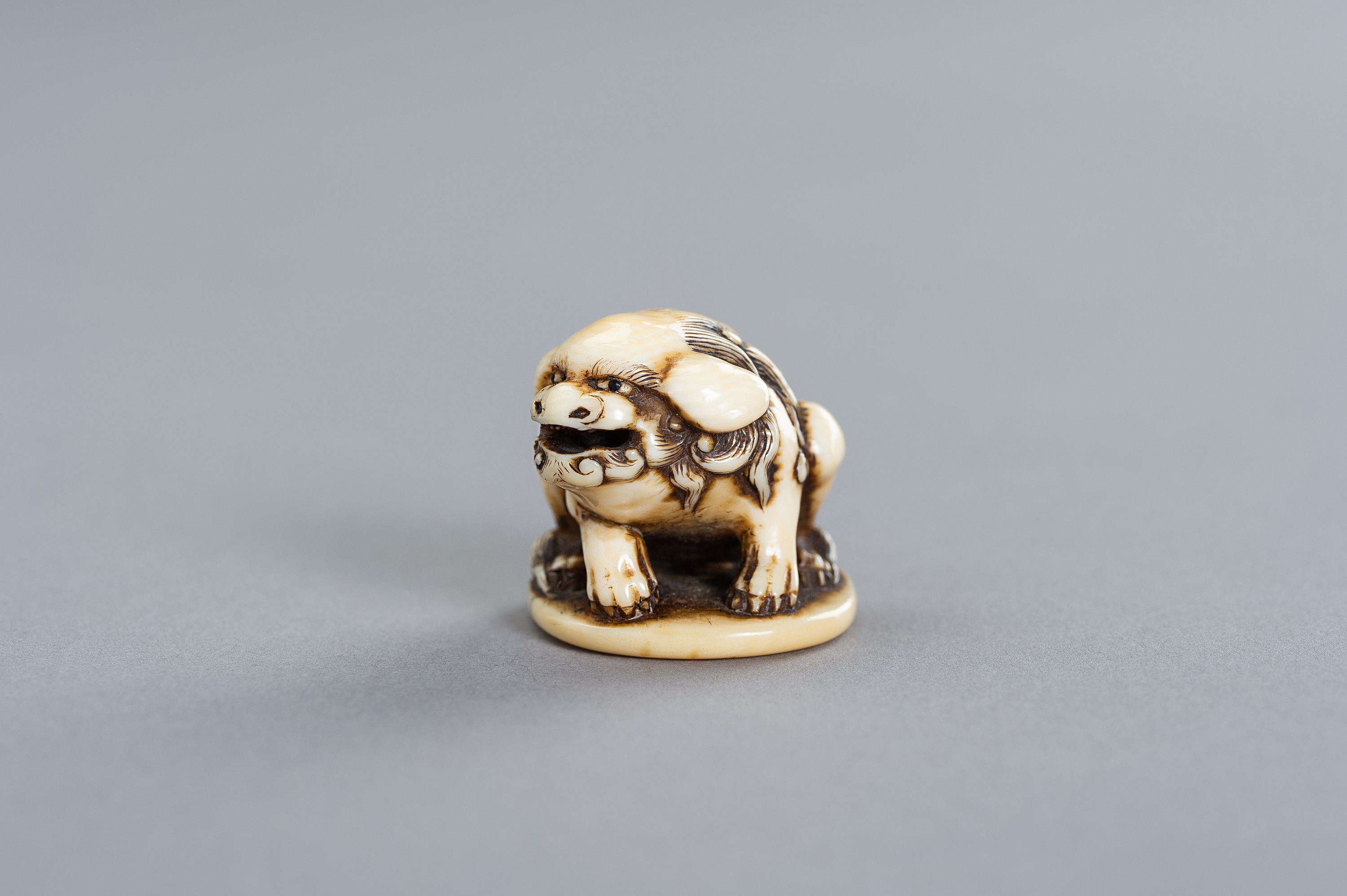 GYOKUYOSAI: AN IVORY NETSUKE OF A SHISHI - Image 9 of 11