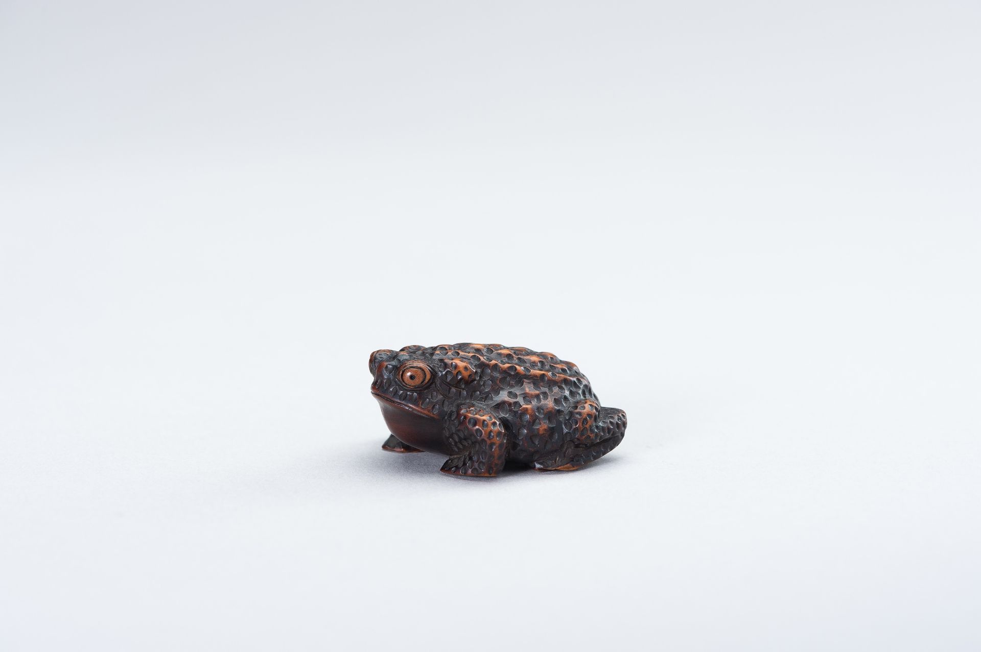 SHIGETADA: A WOOD NETSUKE OF A TOAD - Image 2 of 14
