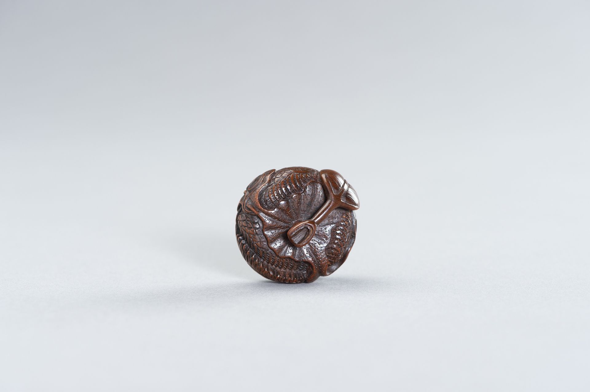 SADANOBU: A FINE WOOD NETSUKE OF A DRAGON INSIDE MIKAN - Bild 4 aus 10