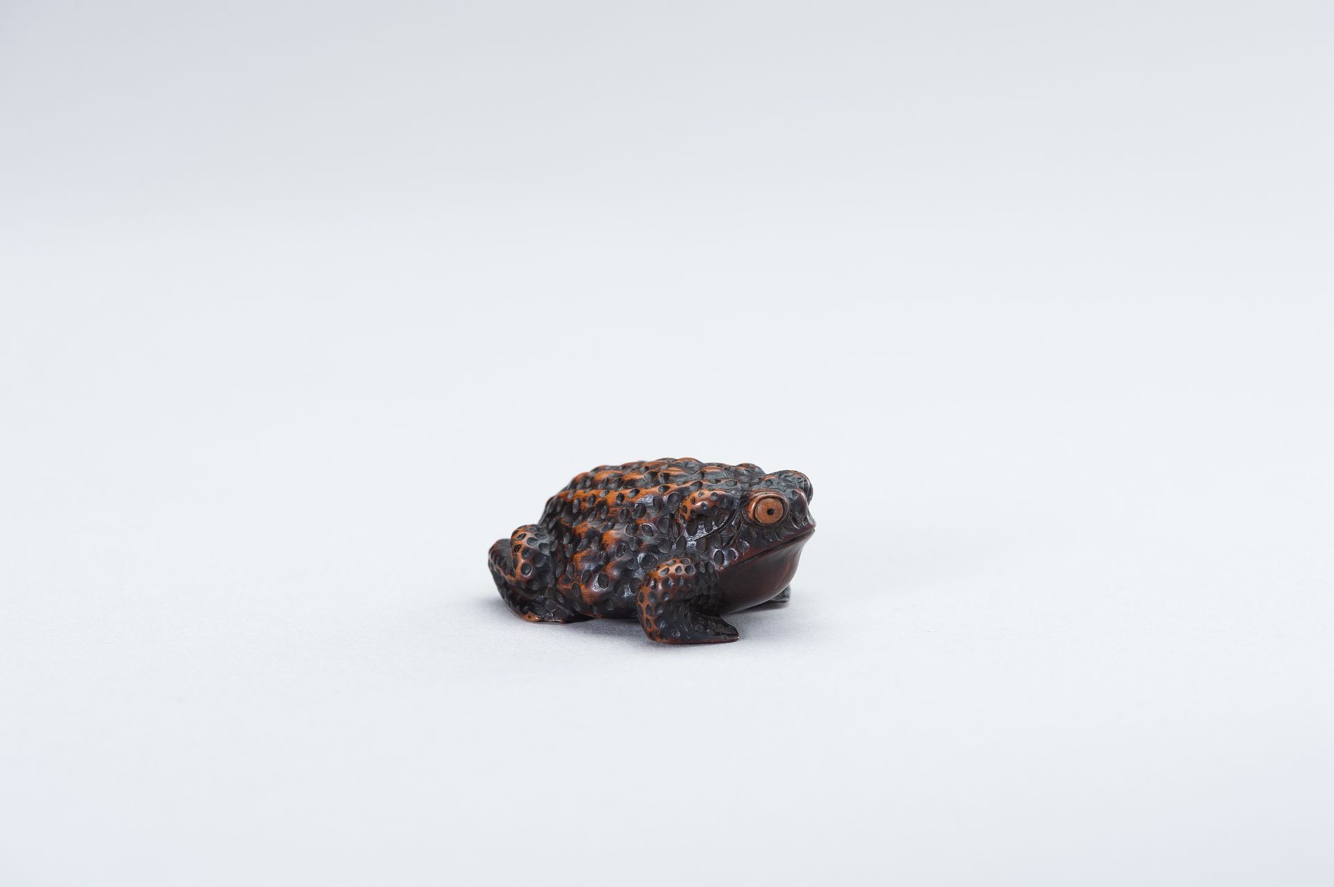 SHIGETADA: A WOOD NETSUKE OF A TOAD - Image 7 of 14