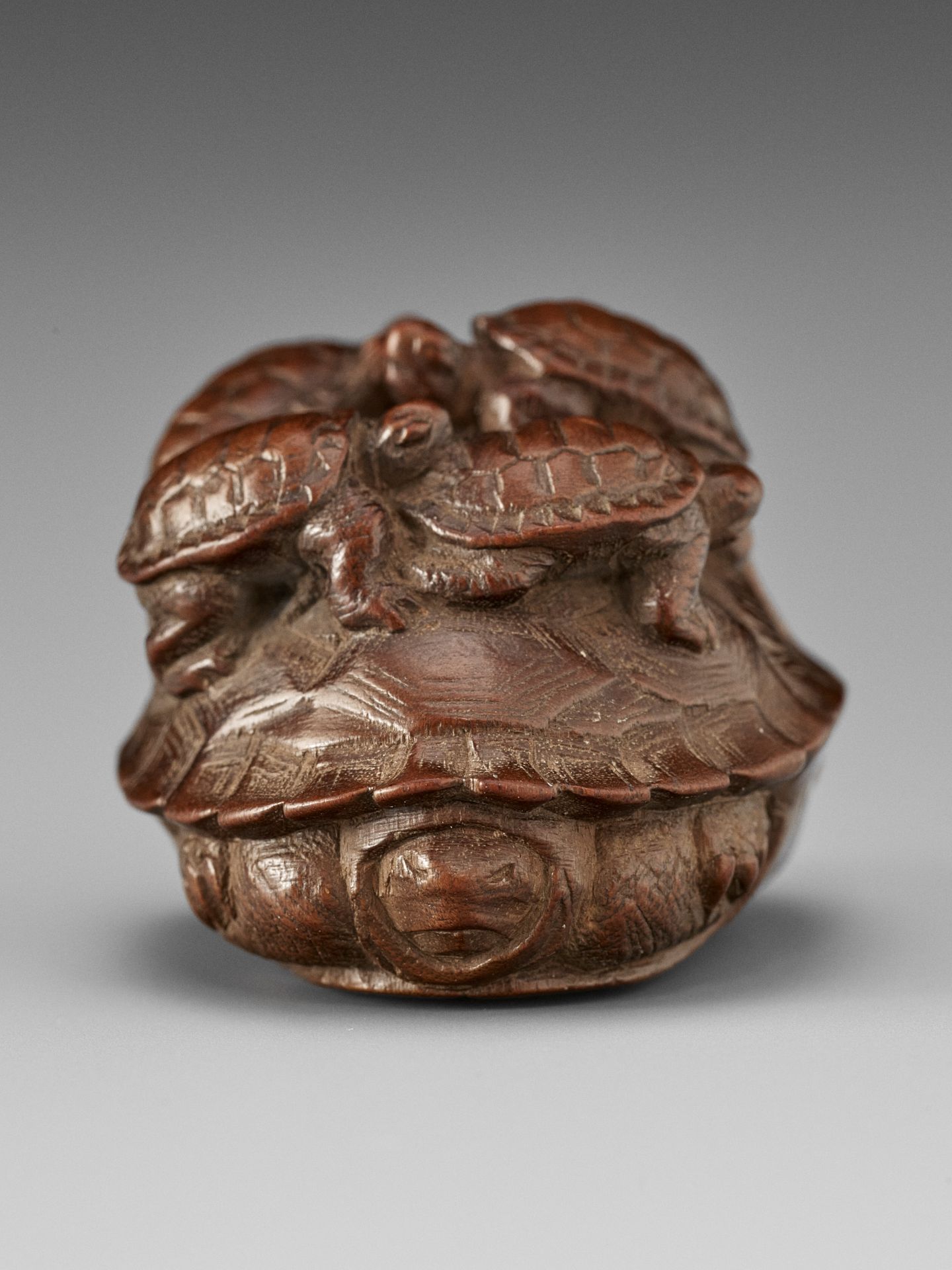 TOMIN: A FINE WOOD NETSUKE OF A TORTOISE WITH FIVE YOUNG - Bild 4 aus 13