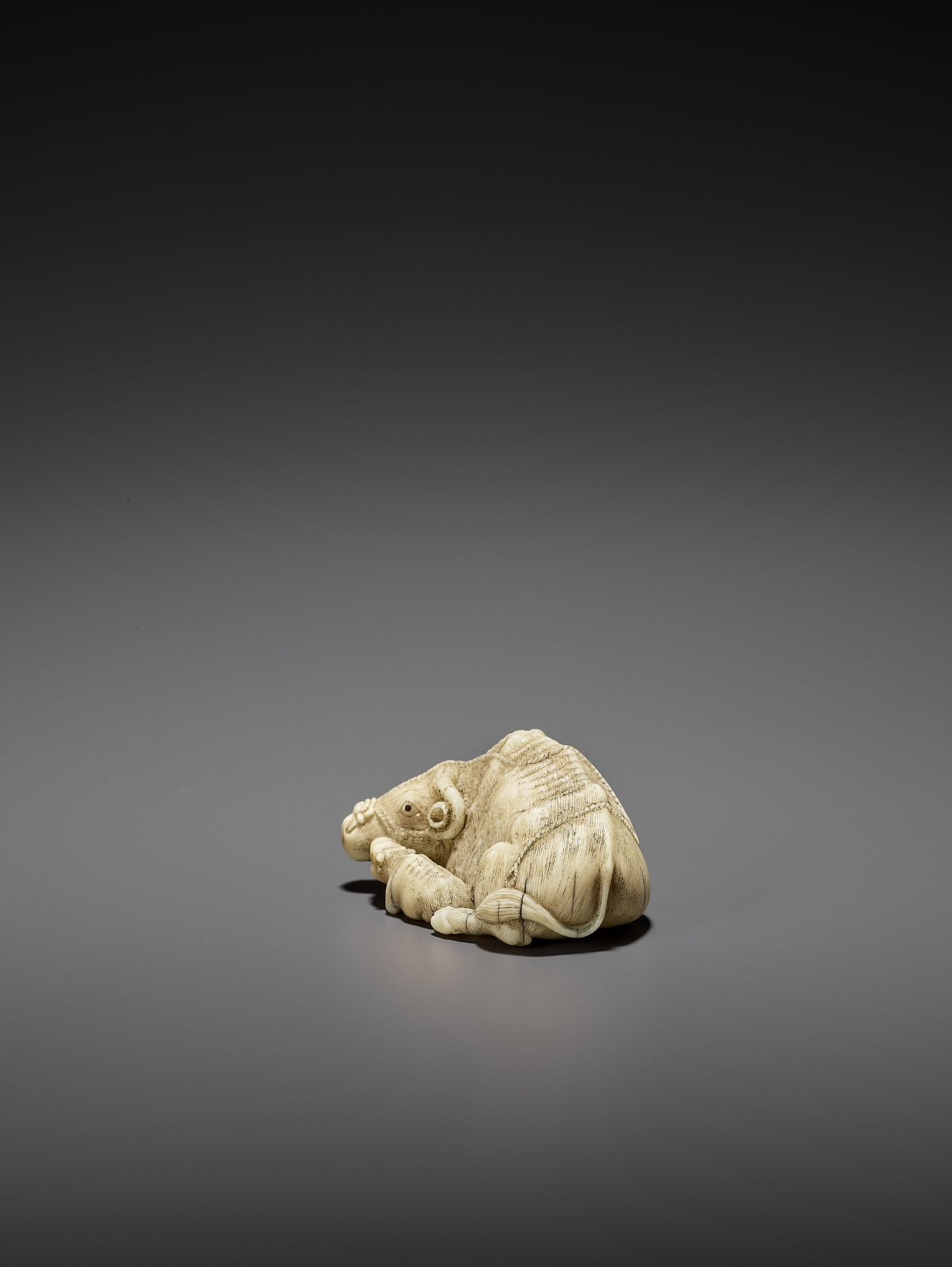 MITSUCHIKA: A LARGE AND RARE WALRUS IVORY NETSUKE OF A RECUMBENT COW WITH CALF - Bild 7 aus 13