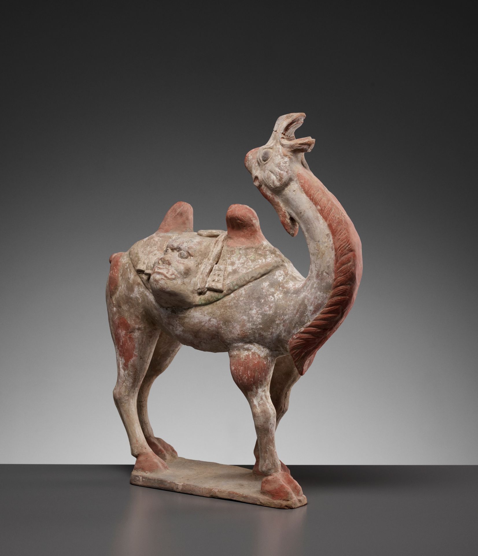 A PAINTED POTTERY FIGURE OF A BACTRIAN CAMEL, TANG DYNASTY