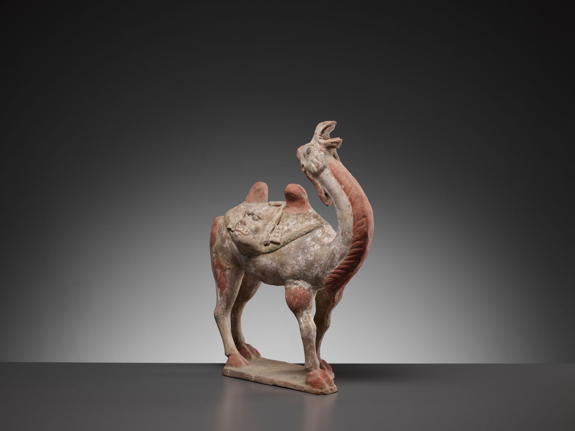 A PAINTED POTTERY FIGURE OF A BACTRIAN CAMEL, TANG DYNASTY - Bild 8 aus 13