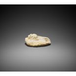 A RARE MARINE IVORY NETSUKE OF A RAT ON LEAFY DAIKON