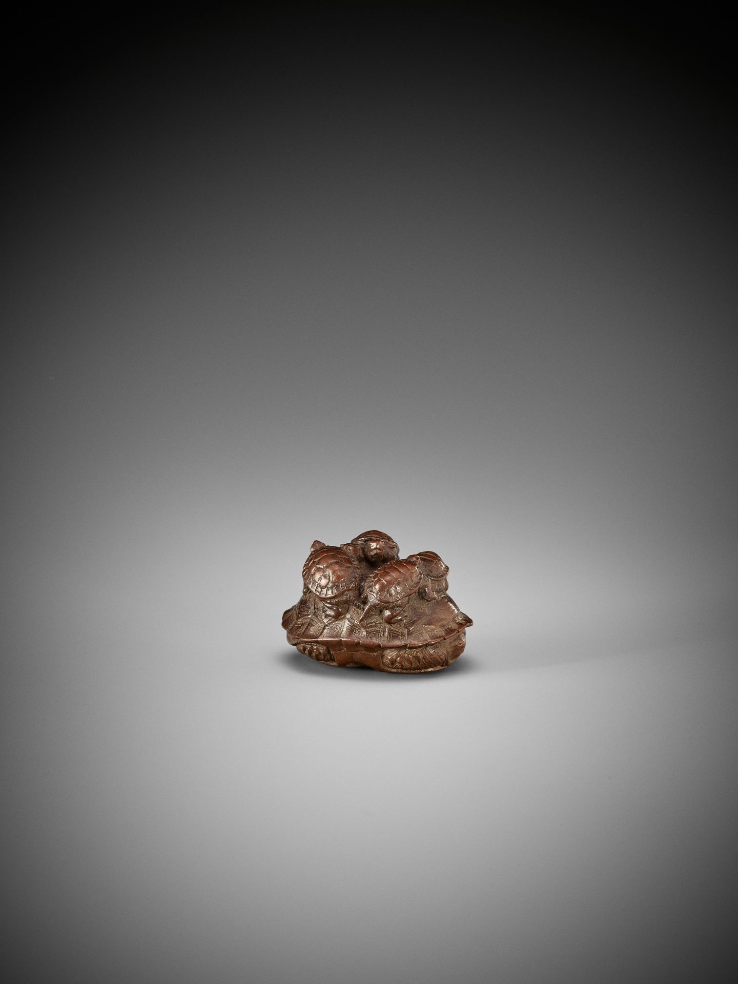 TOMIN: A FINE WOOD NETSUKE OF A TORTOISE WITH FIVE YOUNG - Bild 5 aus 13