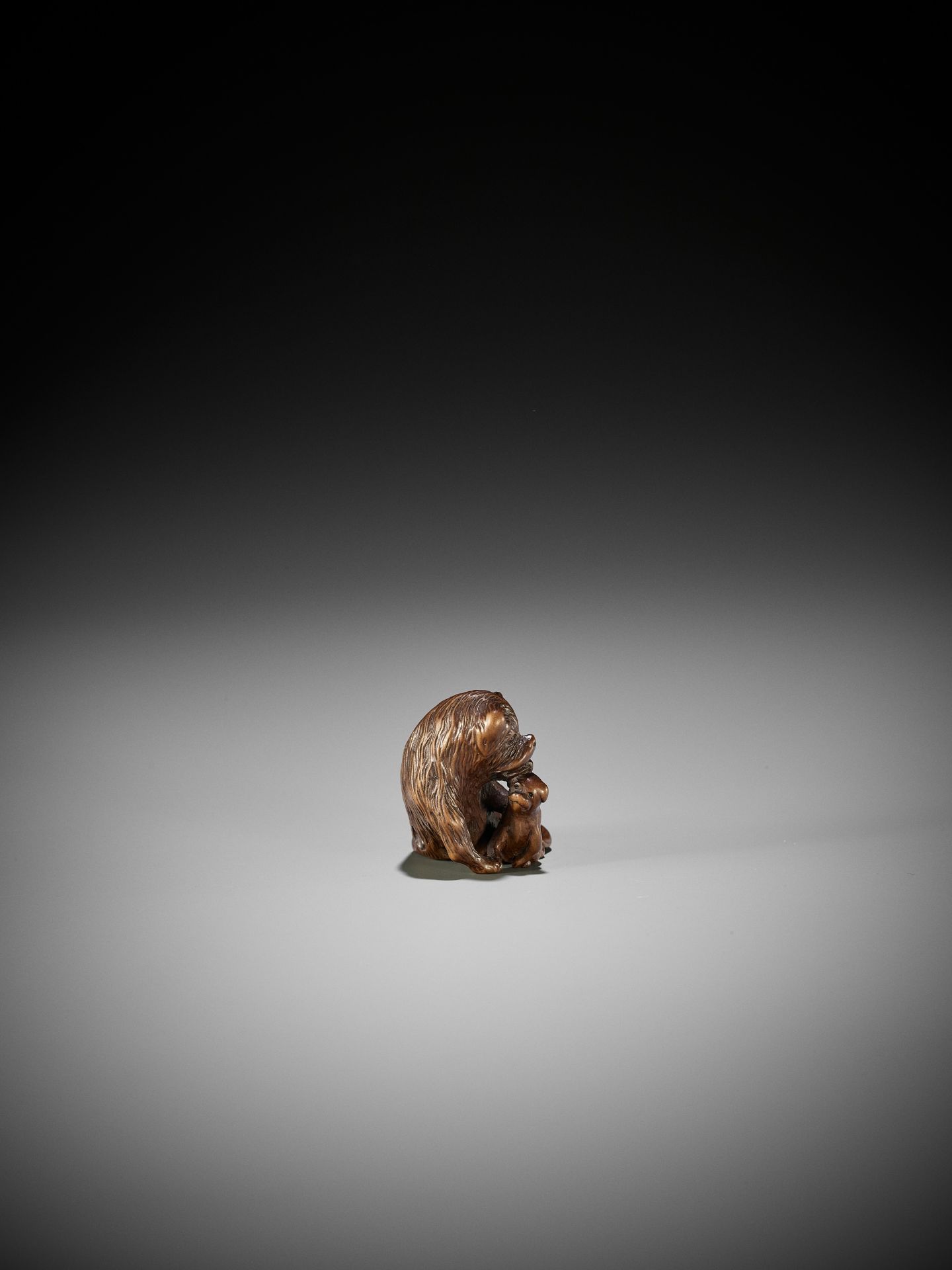 A FINE WOOD NETSUKE OF A SHAGGY DOG WITH PUP - Bild 9 aus 10