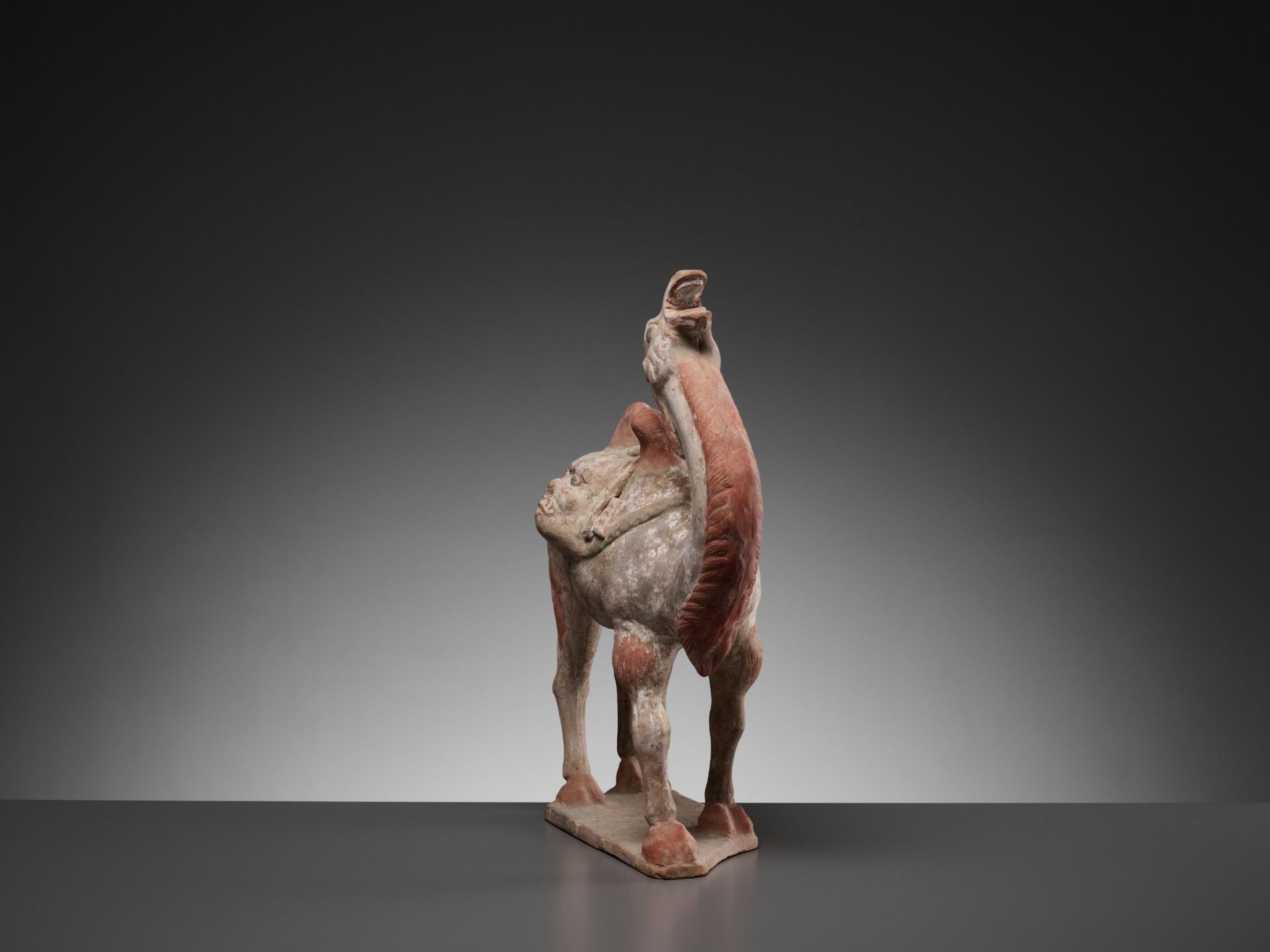 A PAINTED POTTERY FIGURE OF A BACTRIAN CAMEL, TANG DYNASTY - Bild 6 aus 13