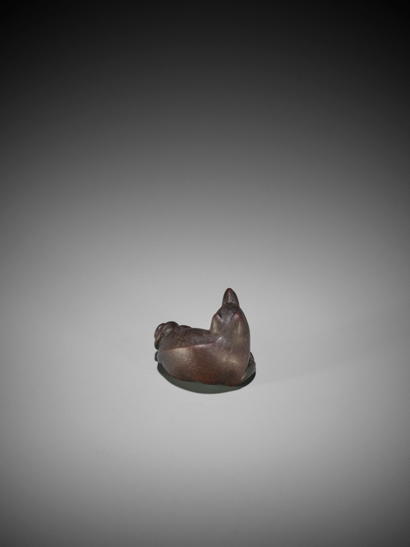 MASAMI: A FINE YAMADA SCHOOL WOOD NETSUKE OF A RECUMBENT TANUKI - Bild 5 aus 9