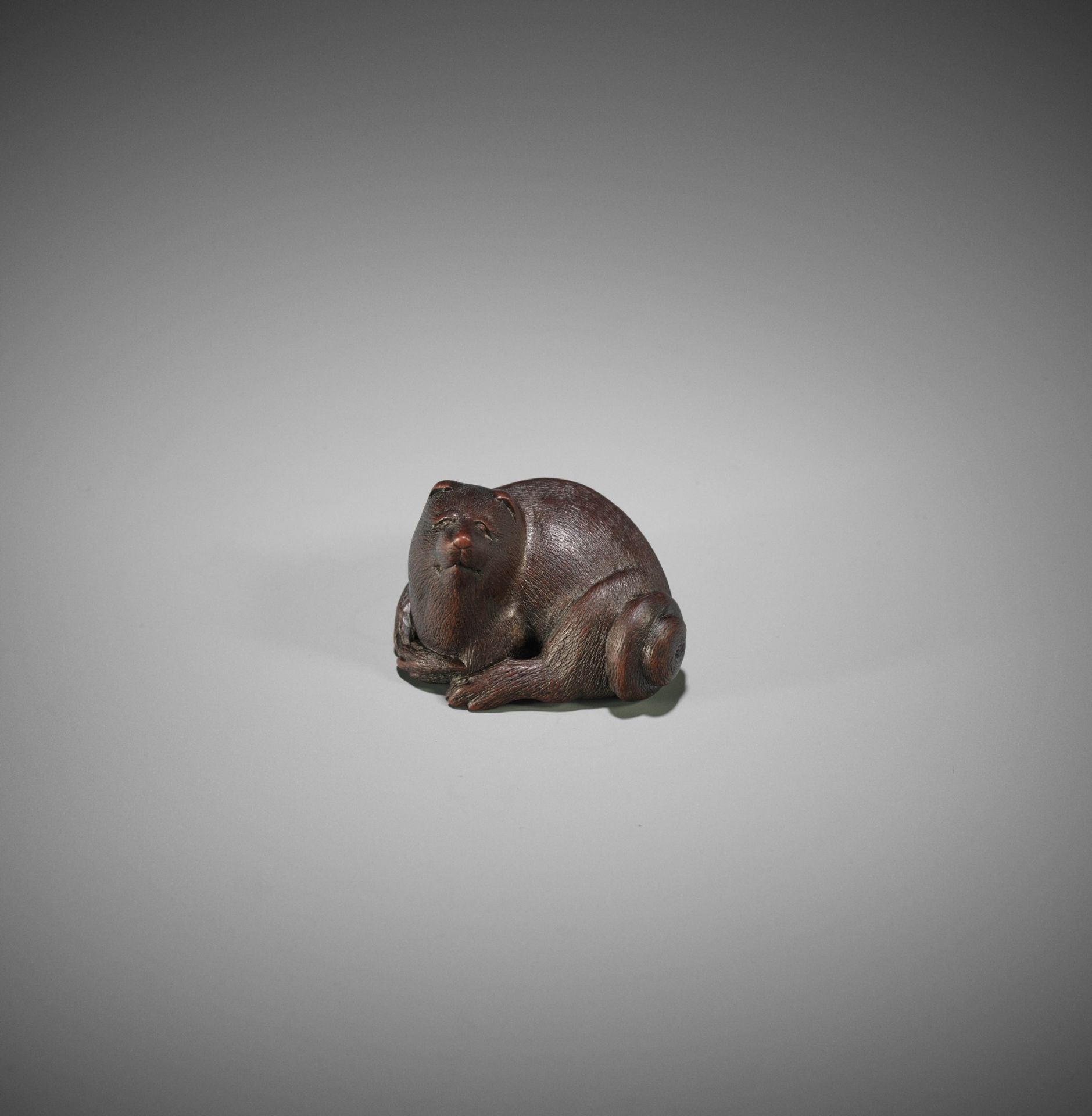 MASAMI: A FINE YAMADA SCHOOL WOOD NETSUKE OF A RECUMBENT TANUKI