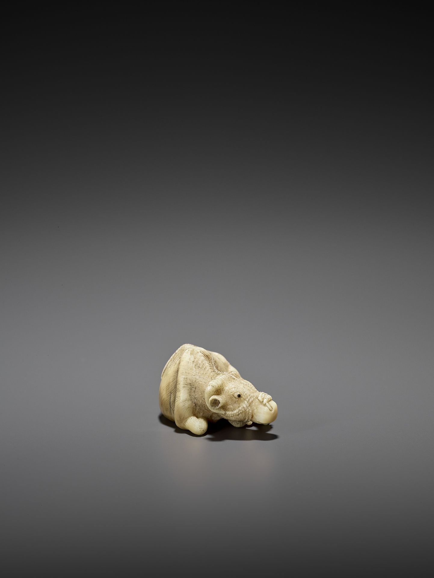 MITSUCHIKA: A LARGE AND RARE WALRUS IVORY NETSUKE OF A RECUMBENT COW WITH CALF - Bild 2 aus 13