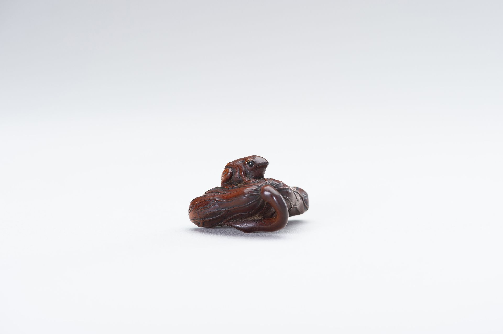 A WOOD NETSUKE OF A FROG AND LOTUS - Bild 4 aus 13