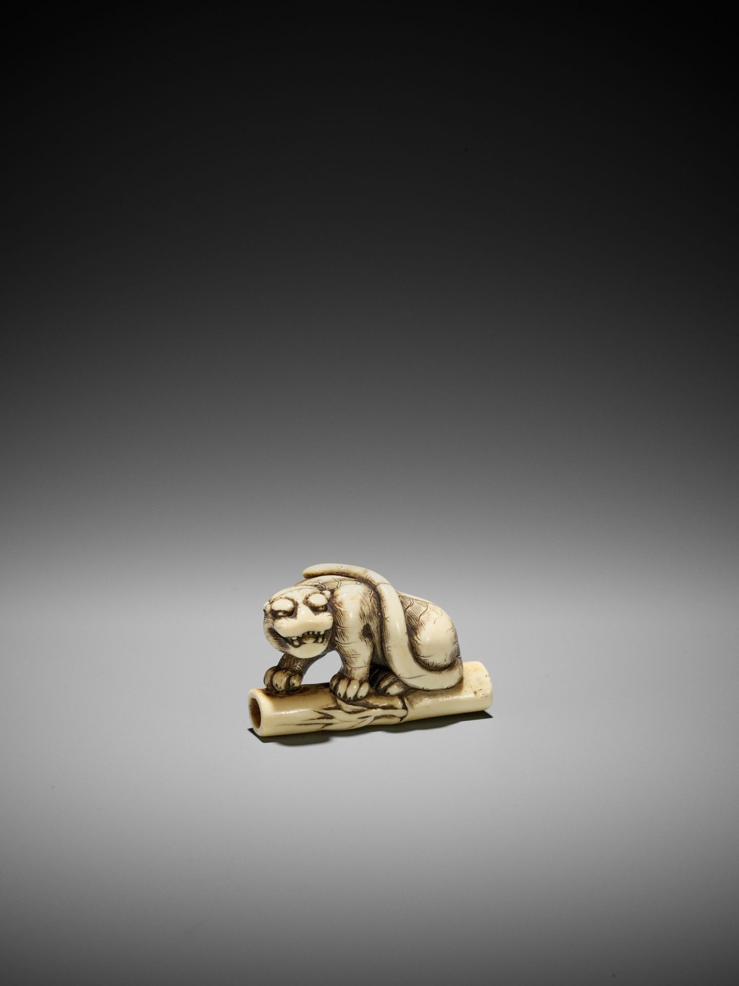 A POWERFUL KYOTO SCHOOL IVORY NETSUKE OF A TIGER ON BAMBOO - Bild 2 aus 15