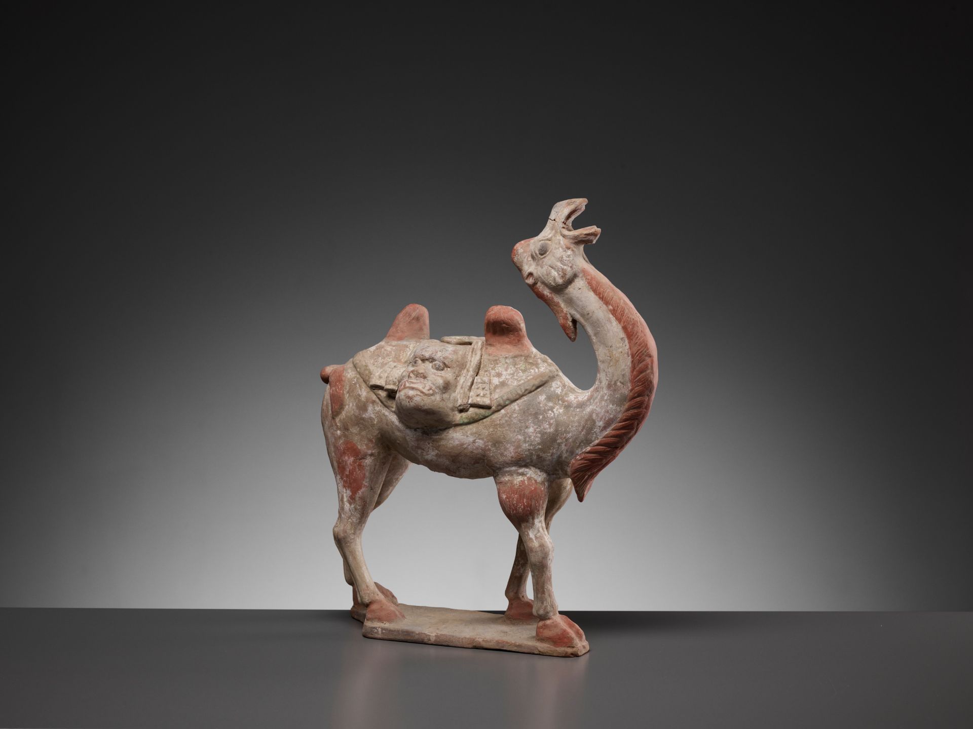 A PAINTED POTTERY FIGURE OF A BACTRIAN CAMEL, TANG DYNASTY - Bild 2 aus 13