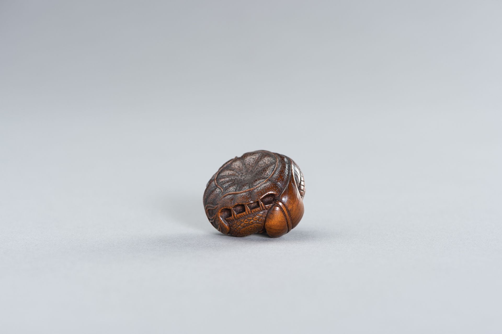 SADANOBU: A FINE WOOD NETSUKE OF A DRAGON INSIDE MIKAN - Bild 9 aus 10