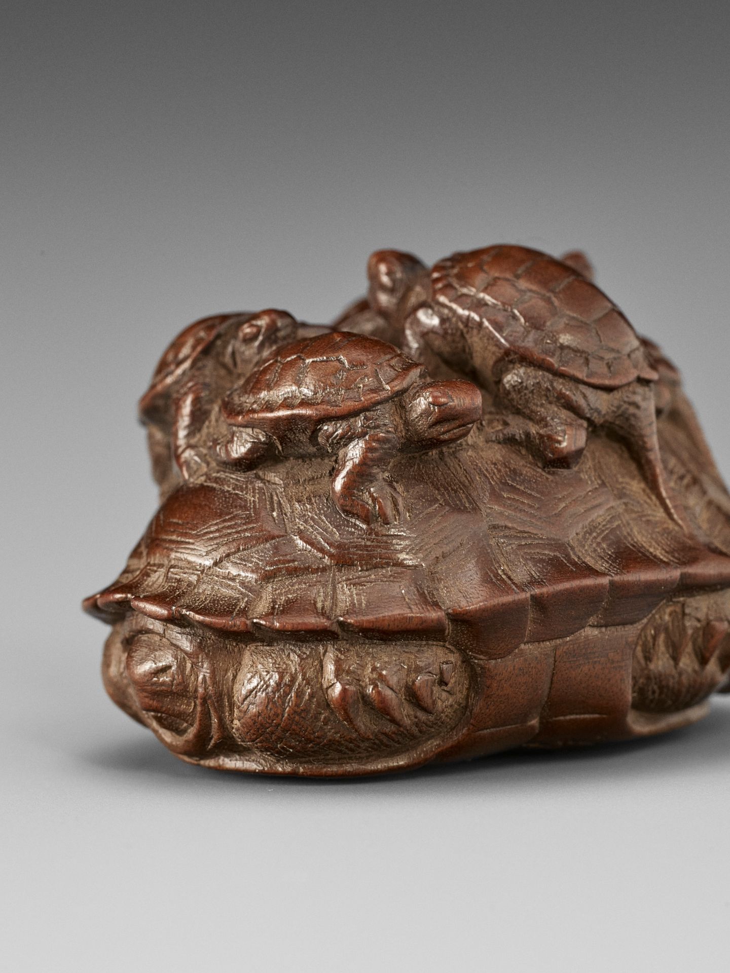 TOMIN: A FINE WOOD NETSUKE OF A TORTOISE WITH FIVE YOUNG