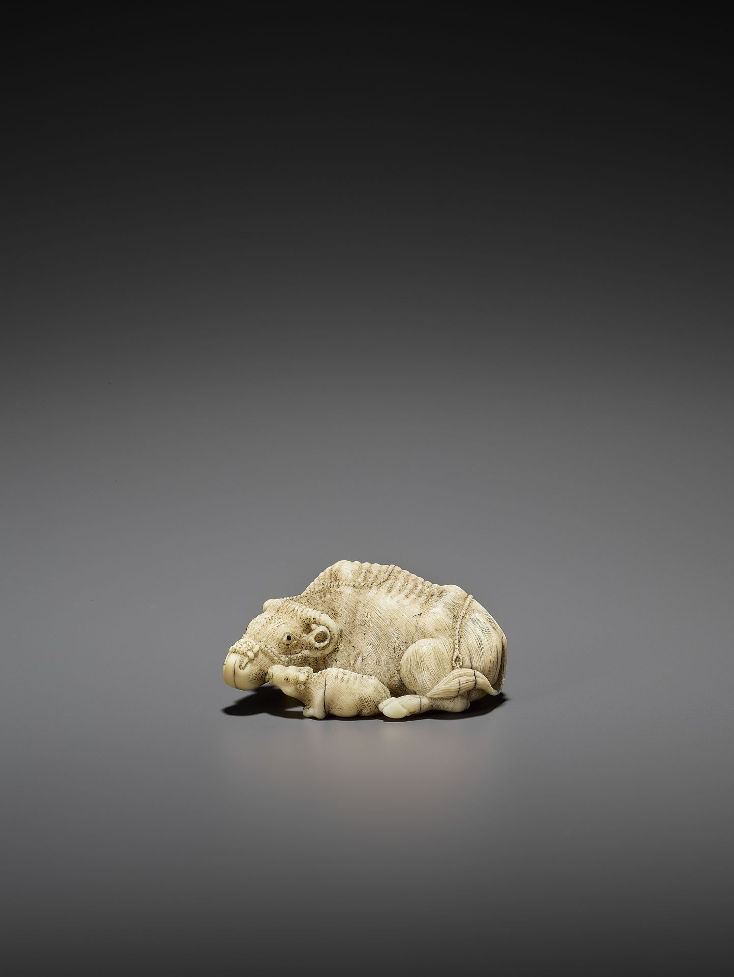 MITSUCHIKA: A LARGE AND RARE WALRUS IVORY NETSUKE OF A RECUMBENT COW WITH CALF - Bild 5 aus 13